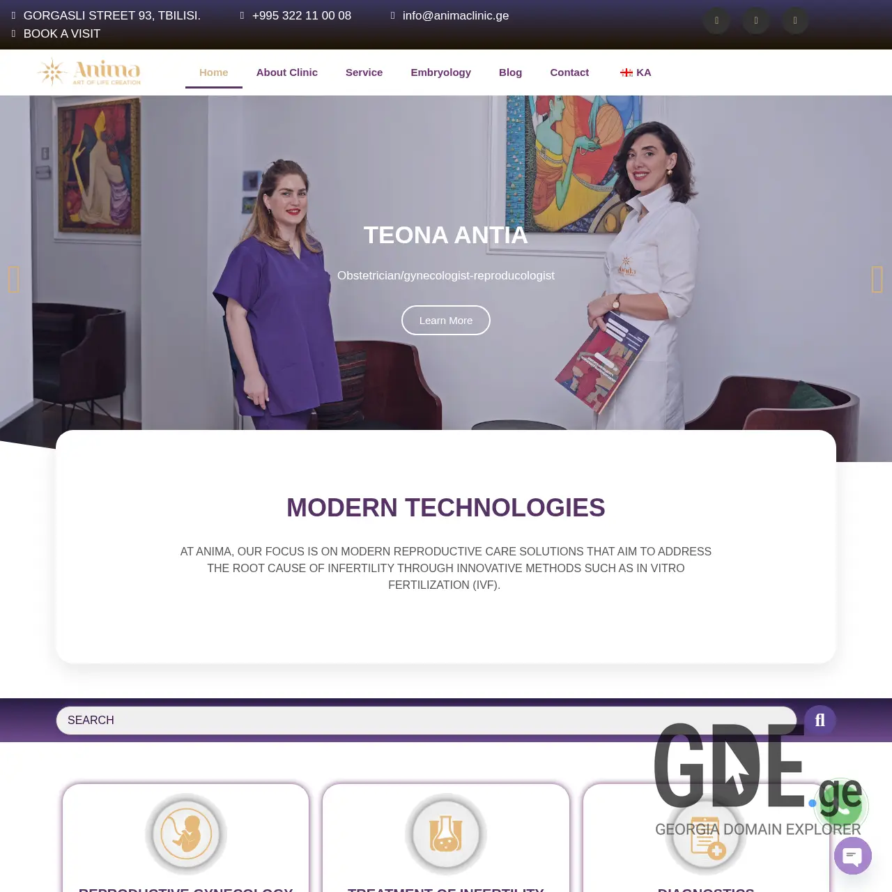 Screenshot of the site animaclinic.ge at 2025-12-08