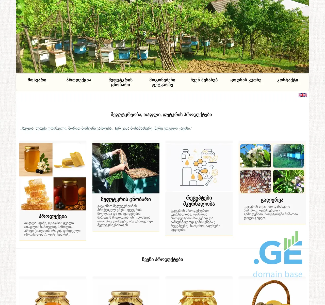 Screenshot of the site antadze.ge at 2025-11-23