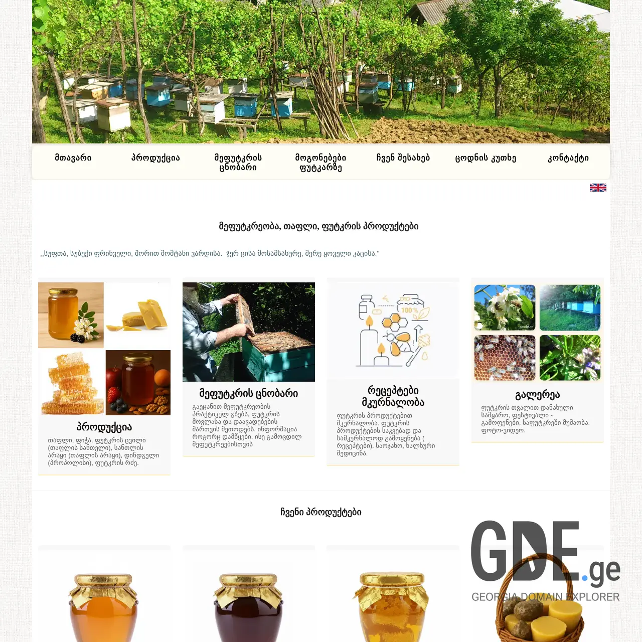 Screenshot of the site antadze.ge at 2025-12-15