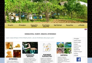 Screenshot of antadze.ge