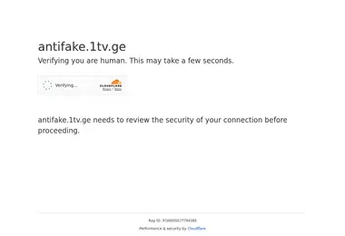 Screenshot of antifake.ge