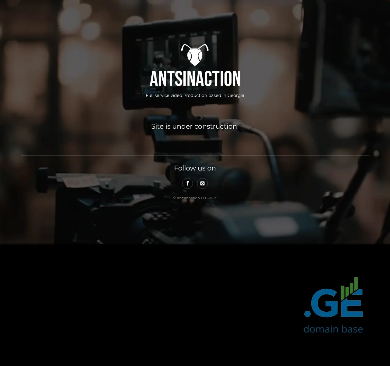 Screenshot of the site antsinaction.ge at 2025-10-25