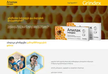 Screenshot of apilaki.ge