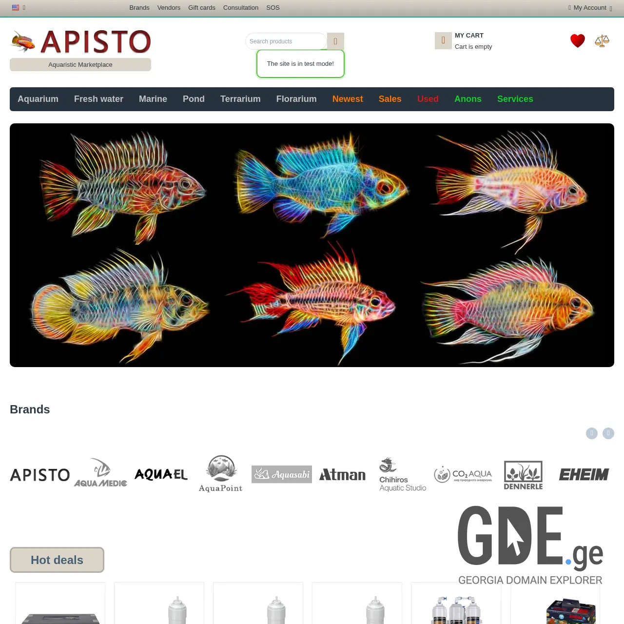 Screenshot of the site apisto.ge at 2025-12-08