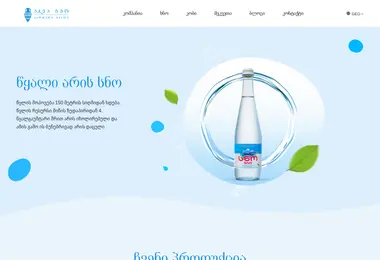 Screenshot of aquageo.ge