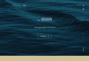 aquaroomshop.ge-ის ეკრანის სურათი