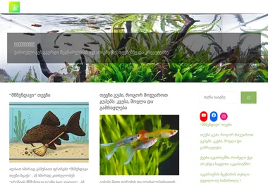 სურათი 08.12.2025-დან