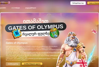 Screenshot of ardzagank.ge