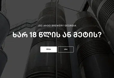 Скриншот argo.ge