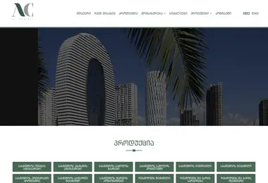 Screenshot of artconcept.ge