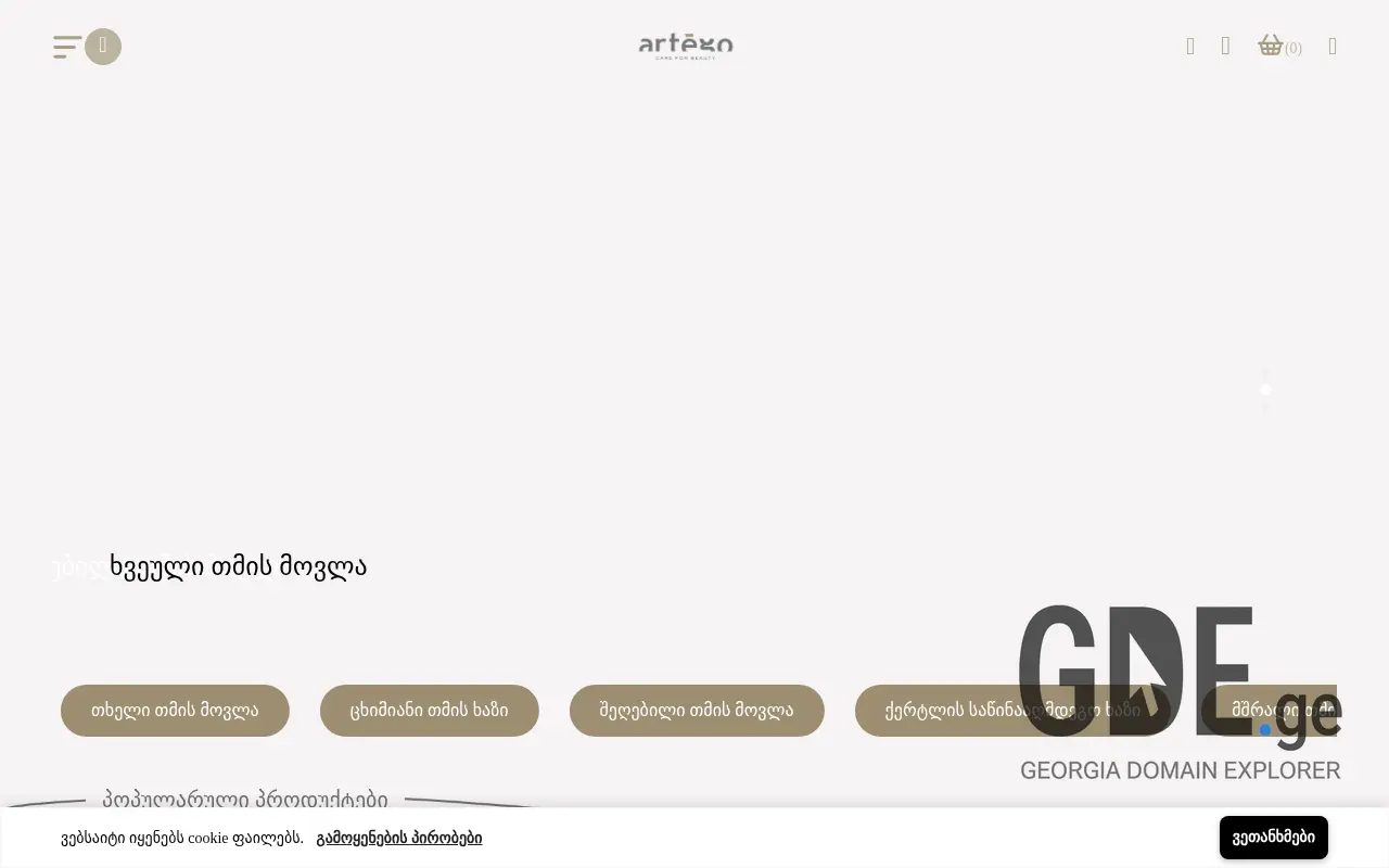 Screenshot of the site artego.ge at 2025-11-28