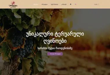 Screenshot of artevani.ge