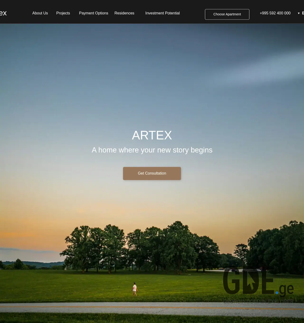 Screenshot of the site artex.ge at 2025-11-30