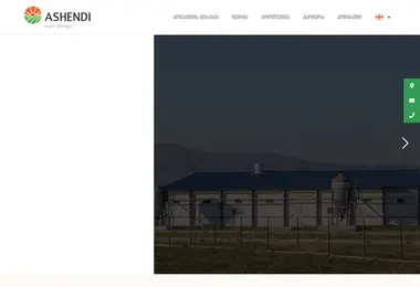 Screenshot of ashendiagro.ge