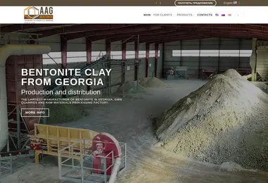 Screenshot of askangel.ge