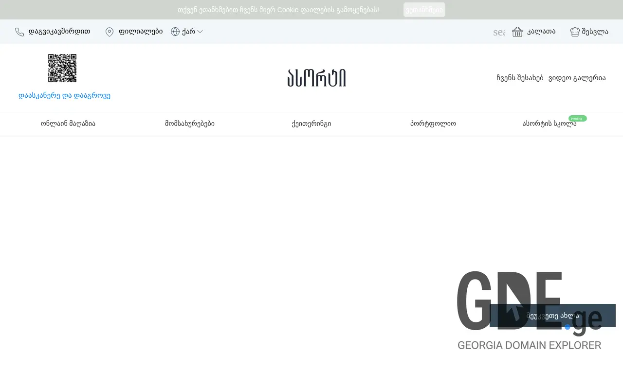 Screenshot of the site assorti.ge at 2025-11-28