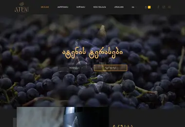 Скриншот ateni.ge