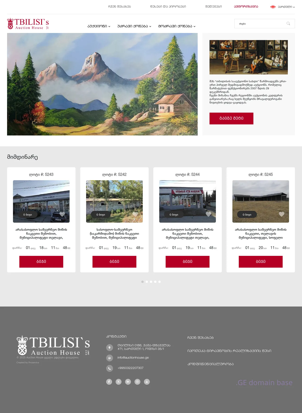 Screenshot of the site auctionhouse.ge