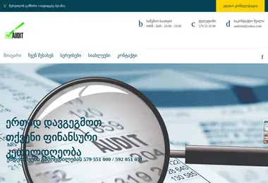 Скриншот auditiltd.ge