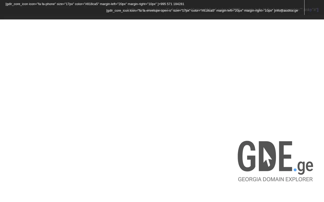 Screenshot of the site auditor.ge at 2025-11-28