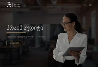 Скриншот auditors.ge