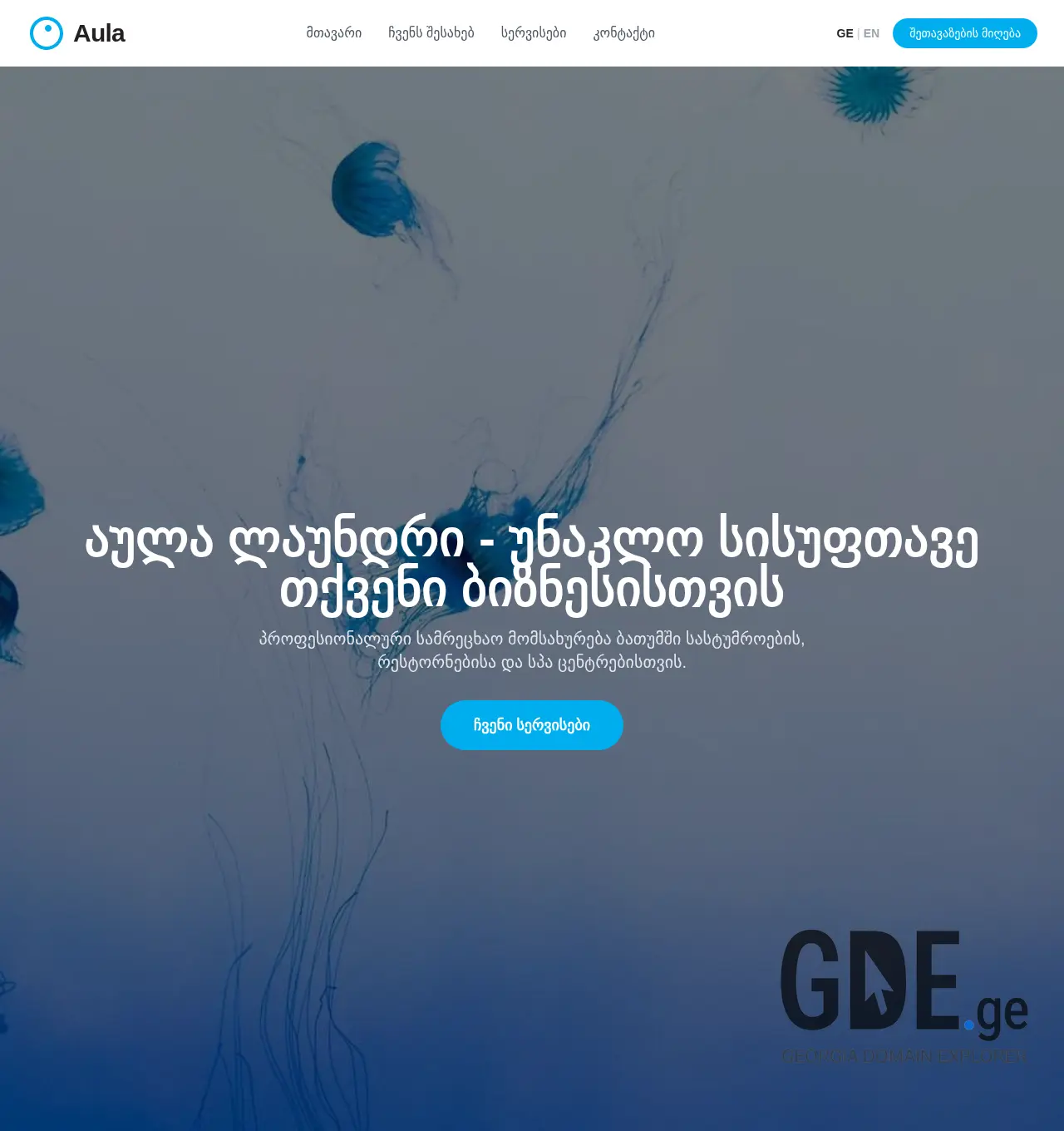 Screenshot of the site aula.ge at 2025-11-29