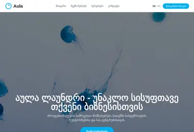 Screenshot of aula.ge
