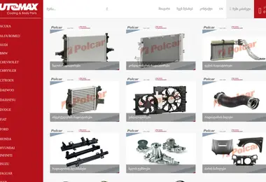 Скриншот automax.ge