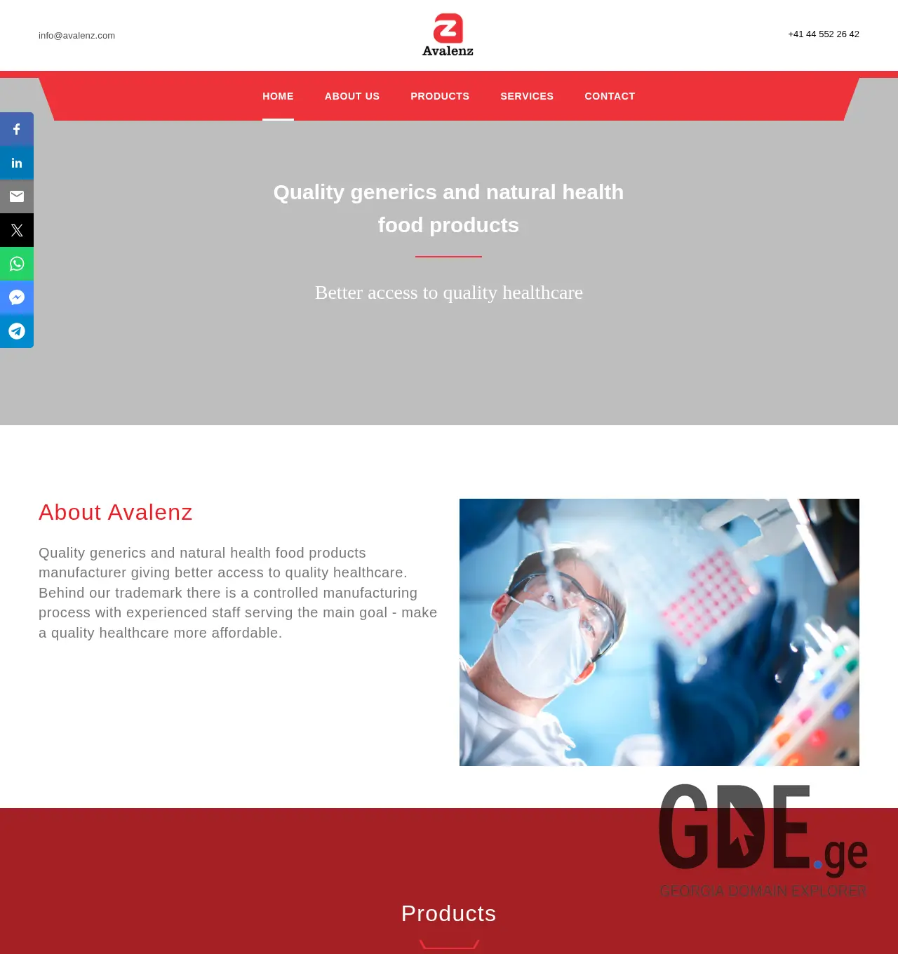 Screenshot of the site avalenz.ge at 2025-11-30