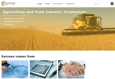 Скриншот aymax.ge