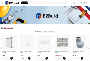 Screenshot of b2build.ge