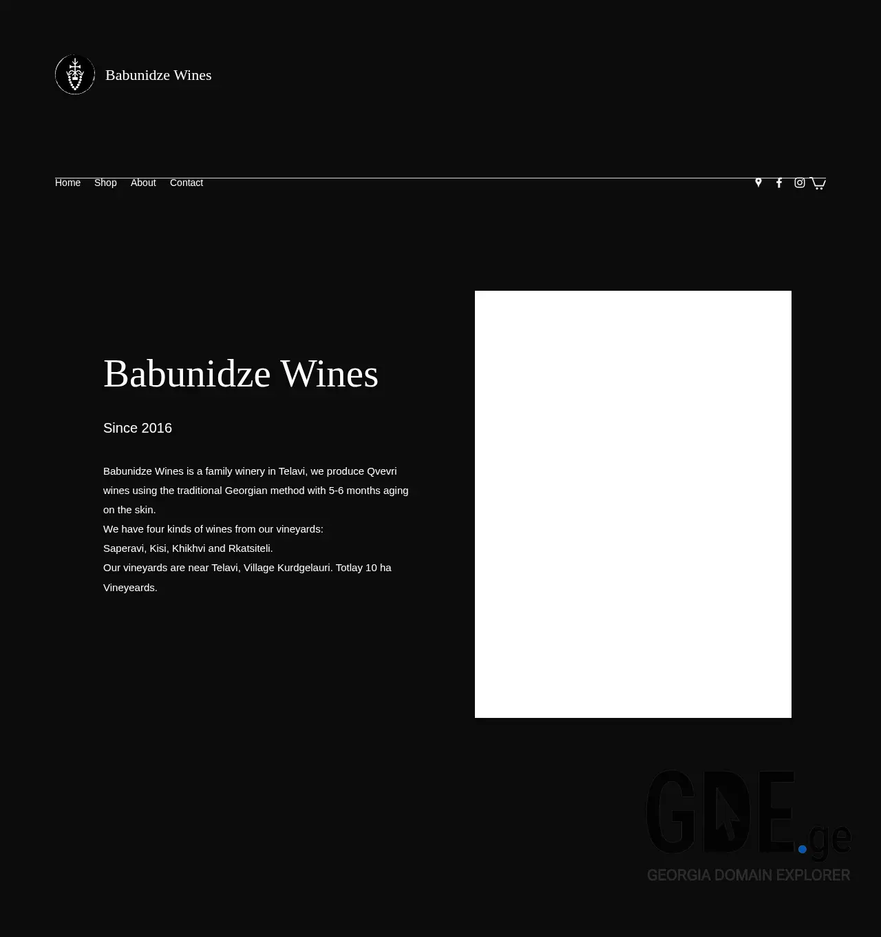Screenshot of the site babunidzewines.ge at 2025-11-29