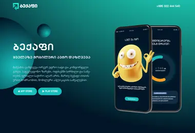 Скриншот backapp.ge