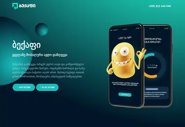 backapp.ge-ის ეკრანის სურათი