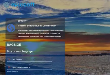 Screenshot of bags.ge