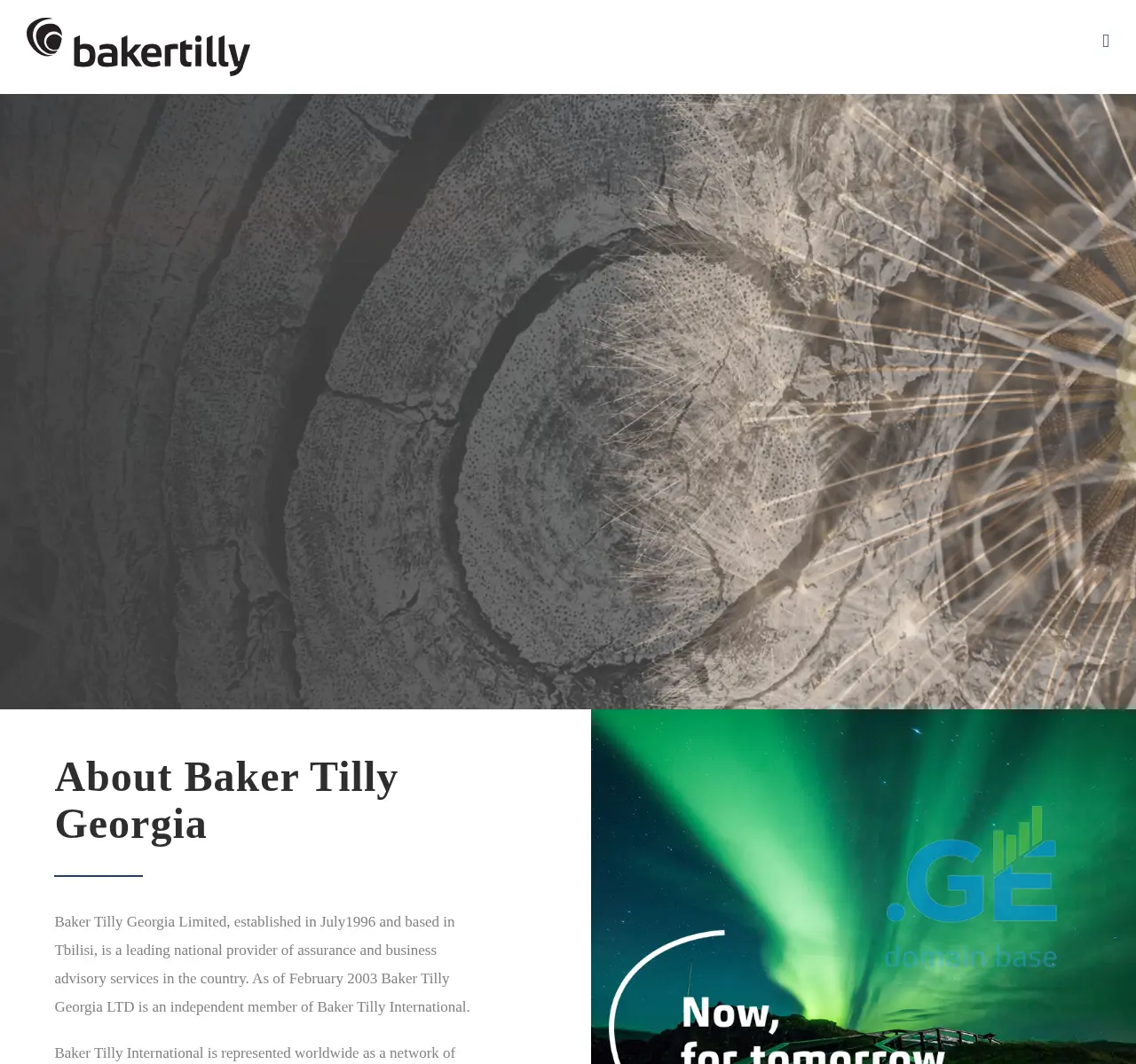 Screenshot of the site bakertillygeorgia.ge at 2025-11-24