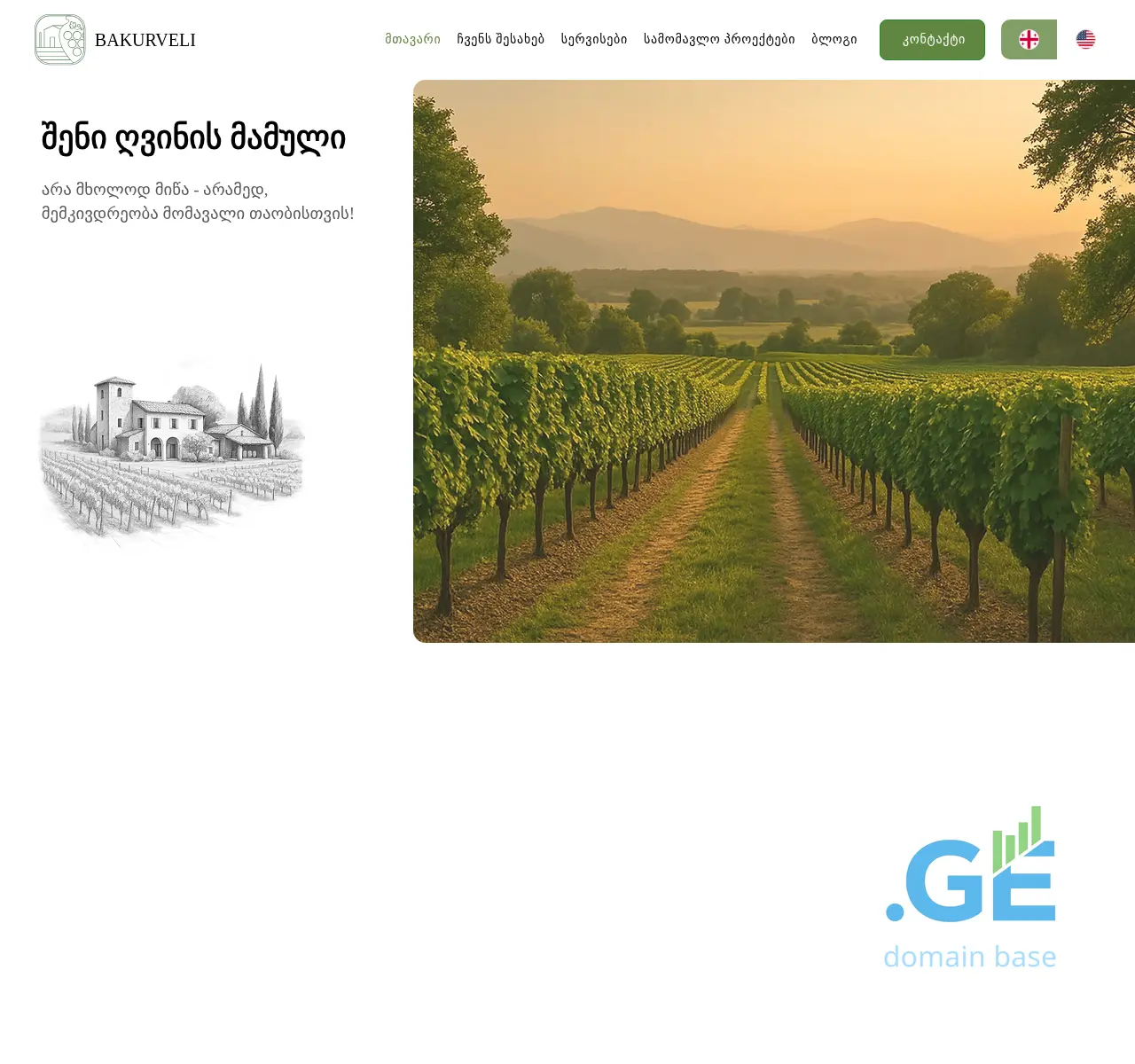 Screenshot of the site bakurveli.ge at 2025-11-09