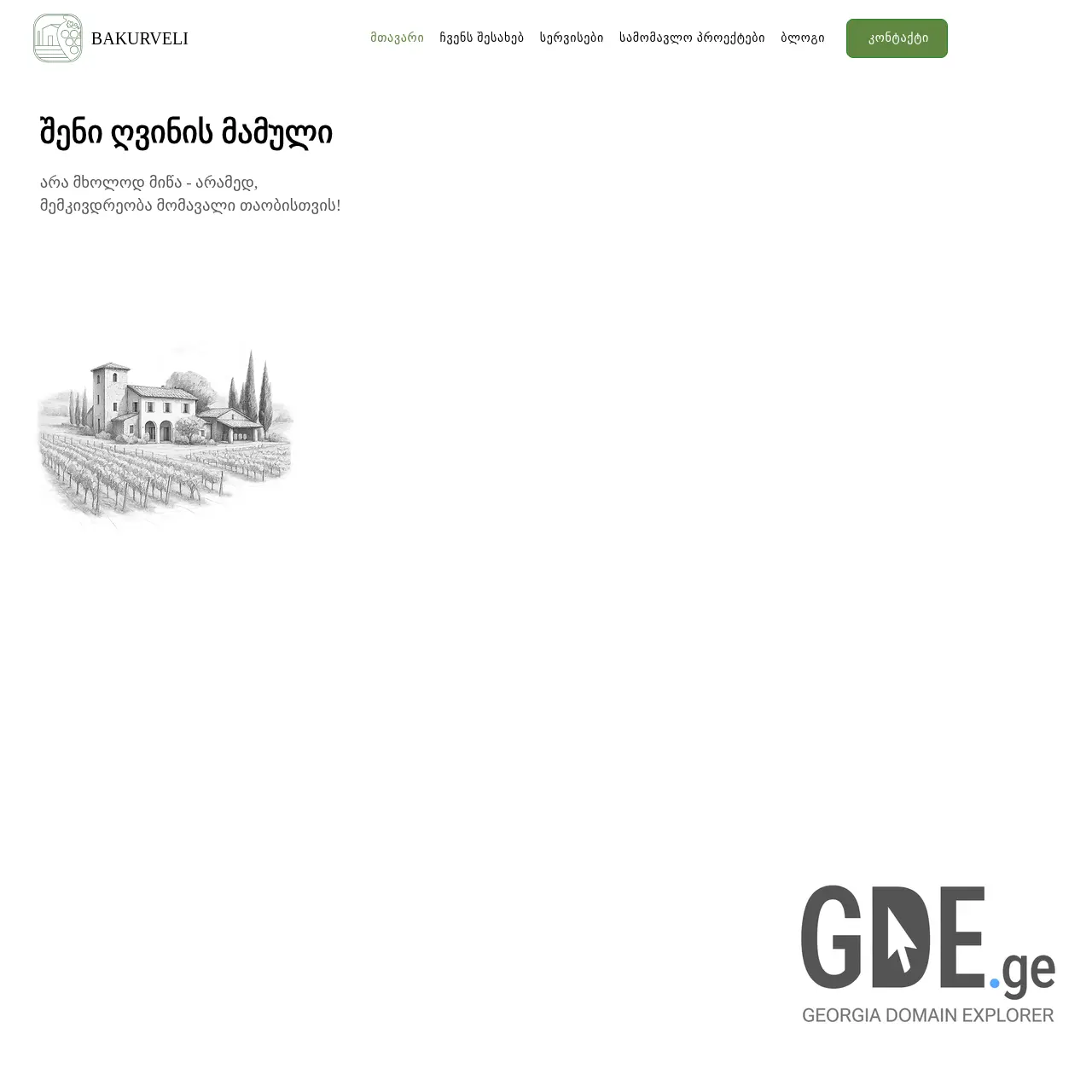 Screenshot of the site bakurveli.ge at 2025-12-15