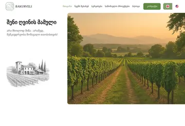 Screenshot of bakurveli.ge