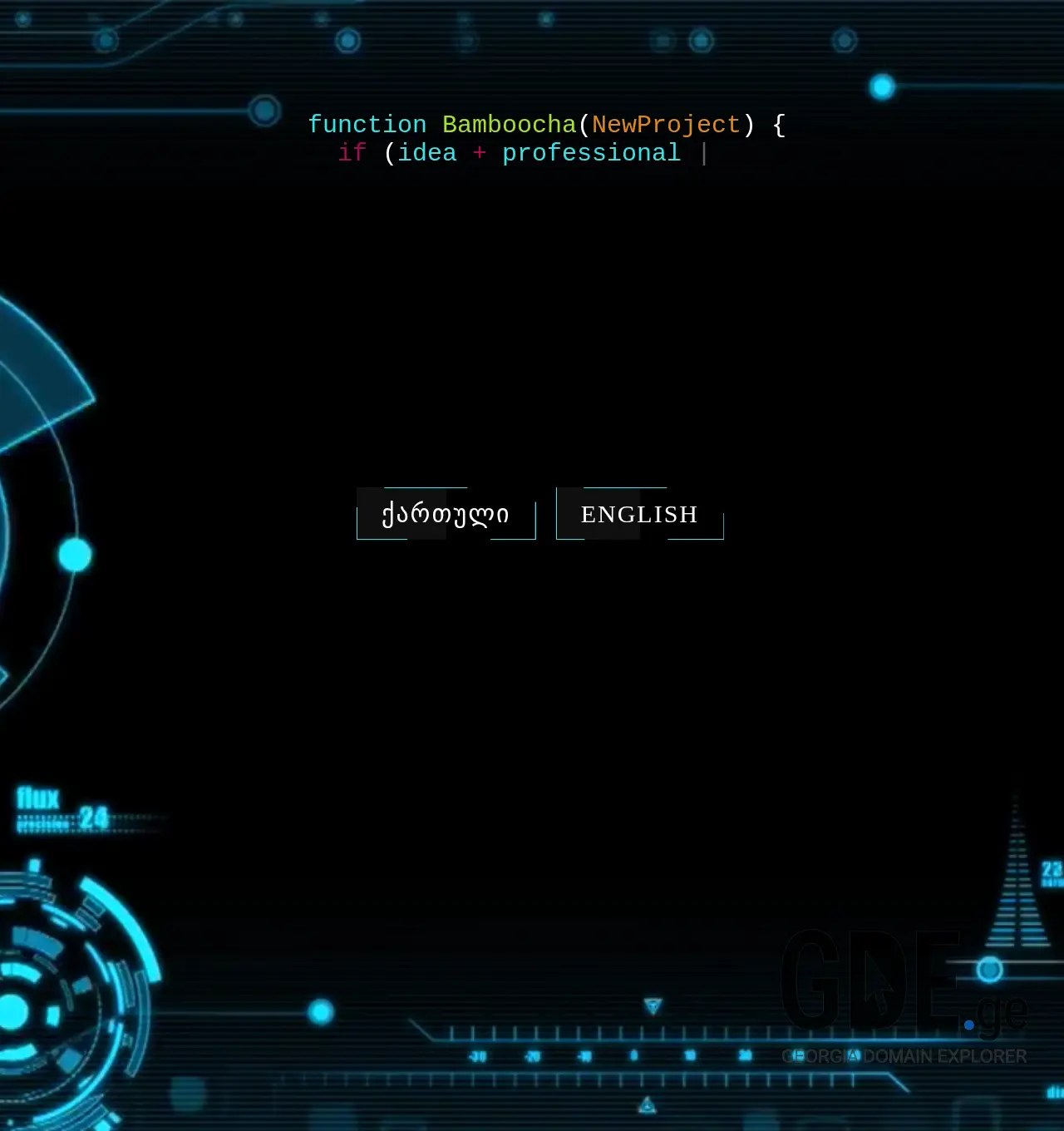 Screenshot of the site bamboocha.ge at 2025-11-30