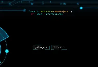 Скриншот bamboocha.ge