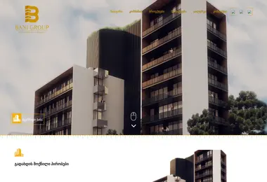 Скриншот banigroup.ge
