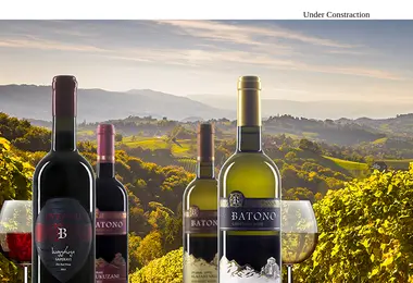 Screenshot of batono.ge