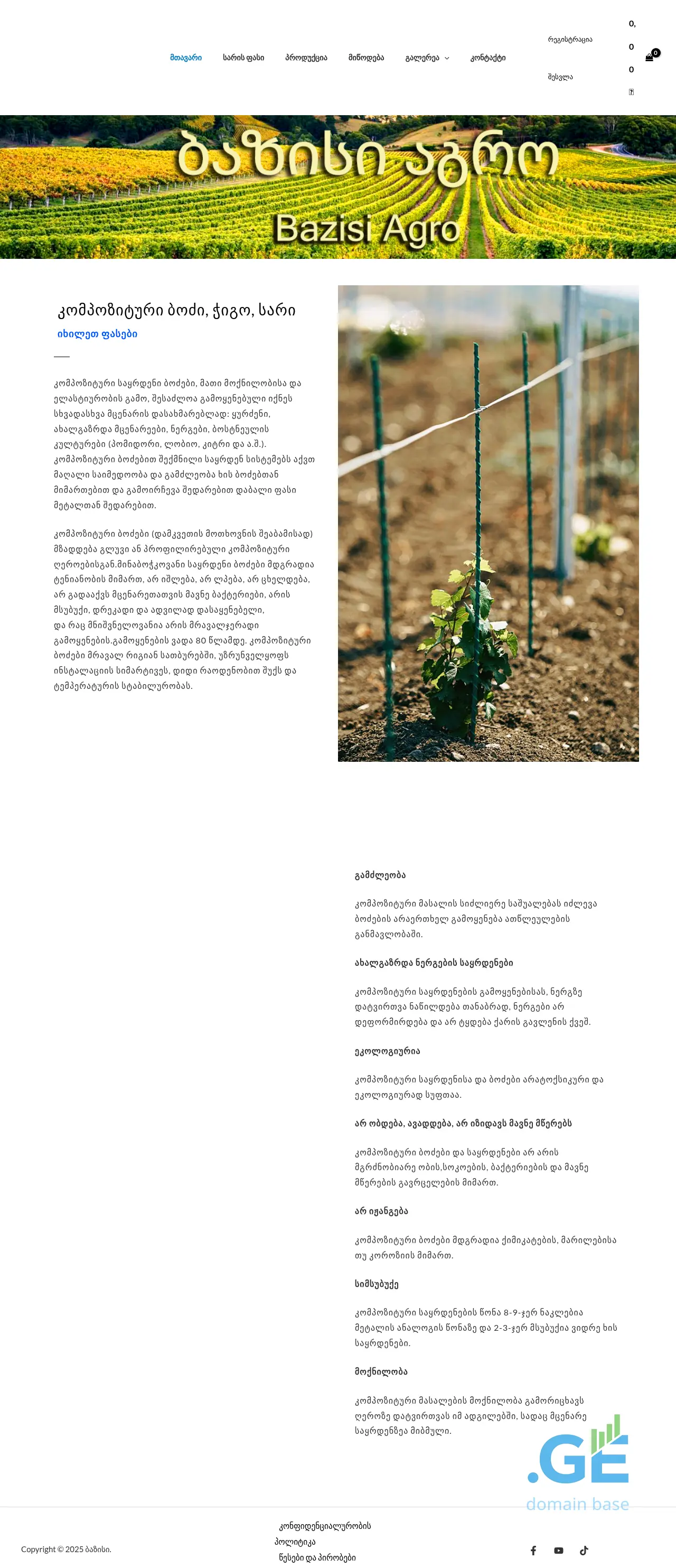 Screenshot of the site bazisi.ge