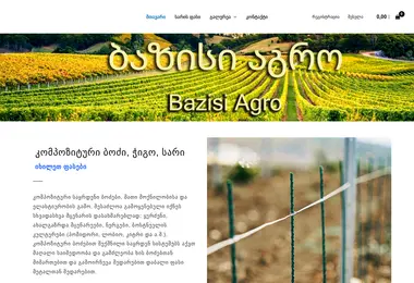 Скриншот bazisi.ge