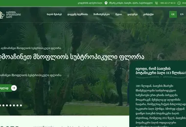 Скриншот bbg.ge