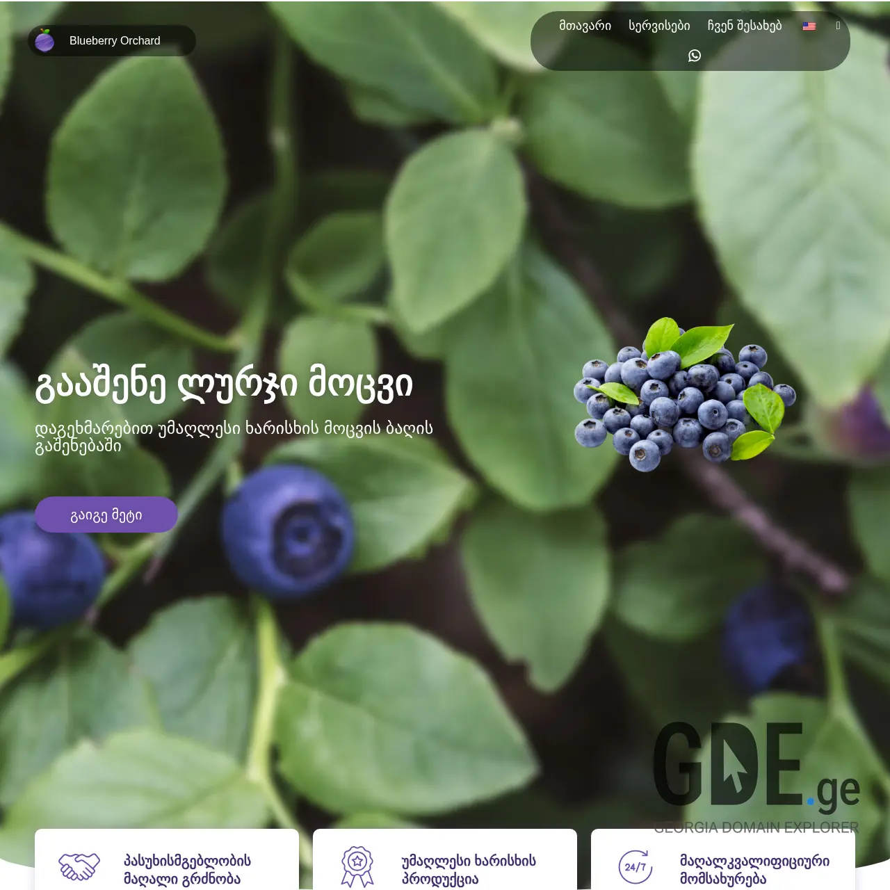 Screenshot of the site bbo.ge at 2025-12-08