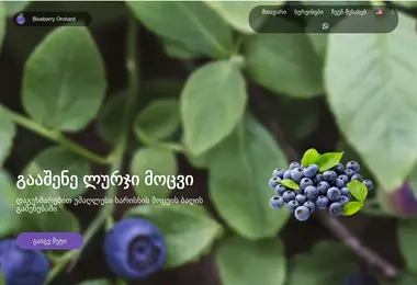 Preview from 08.12.2025