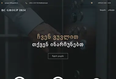 Screenshot of bcgroup.ge