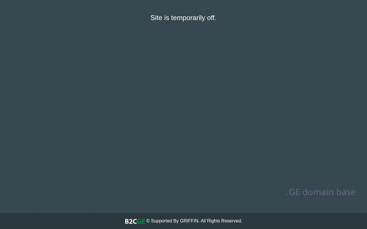 Screenshot of the site berketi.ge